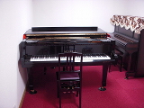 Many Piano Salon